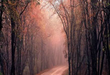 今晚8点30，曼联尊严战！输球=51年耻辱纪录，61岁前任反戈.