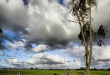 布拉德利談獲月最佳：感覺像做夢一樣，現在只想繼續努力！.