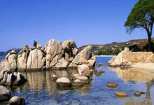 [篮球]2024年度好球 第1期.